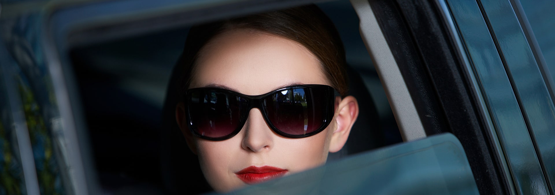 DFW Pest Control Dallas Fort Worth Pest Control Experts